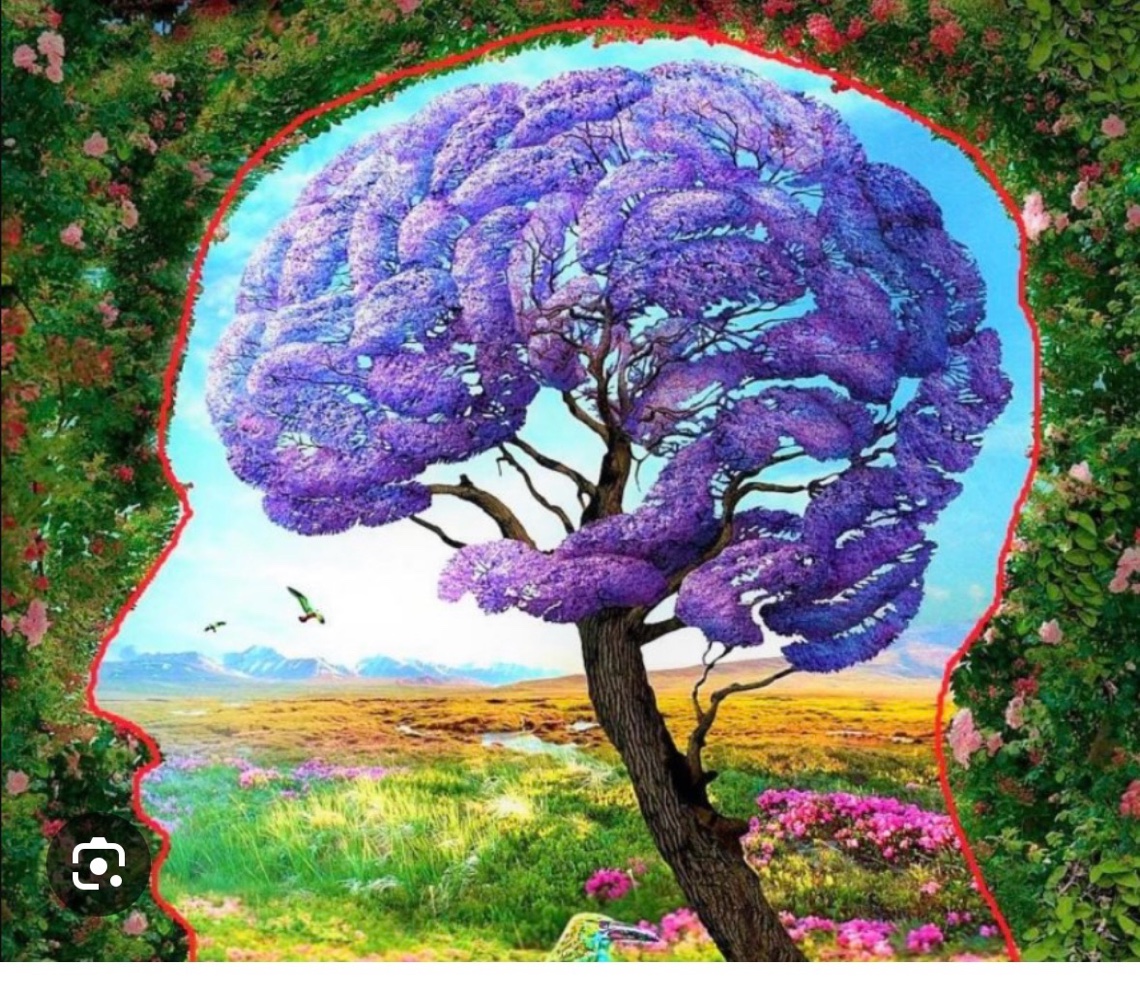 Your mind is a garden — subconscious transformation imagery